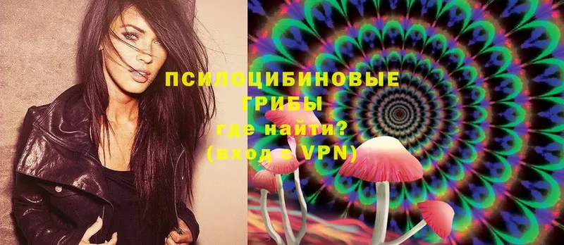 Псилоцибиновые грибы Psilocybine cubensis  OMG вход  Кола 